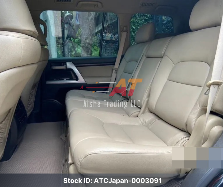 2010 Toyota Land Cruiser